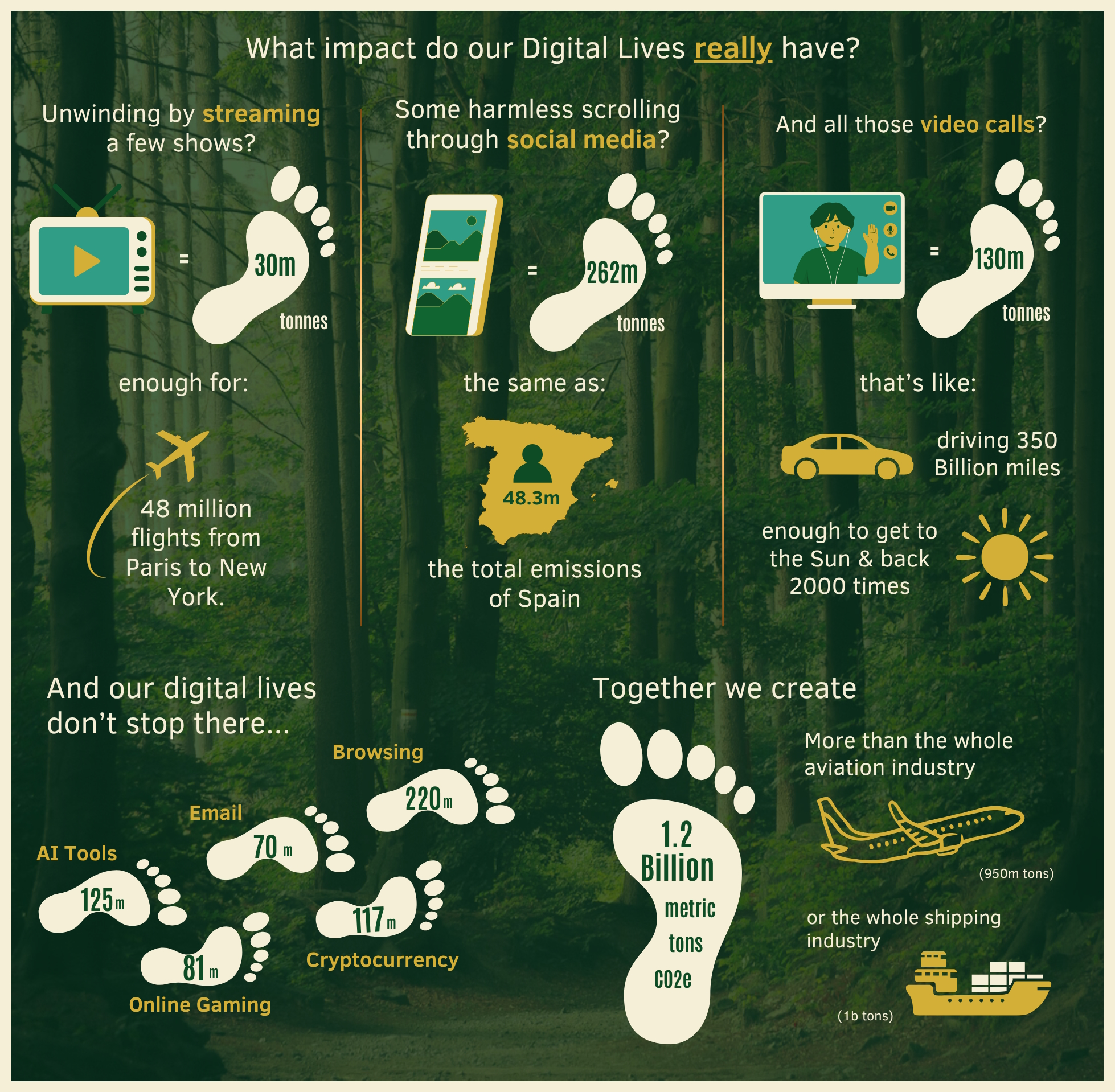 Aerial view of Digital Forest location